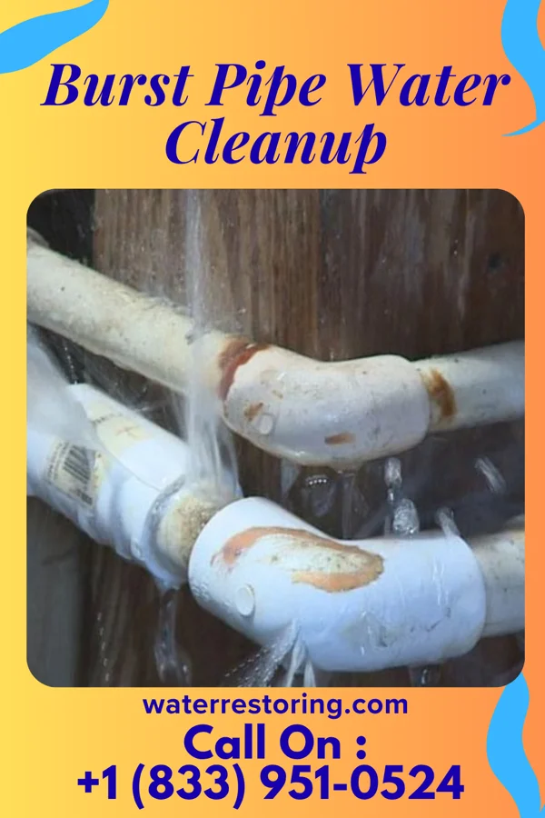 Burst Pipe Water Cleanup in Silver Bay, MN