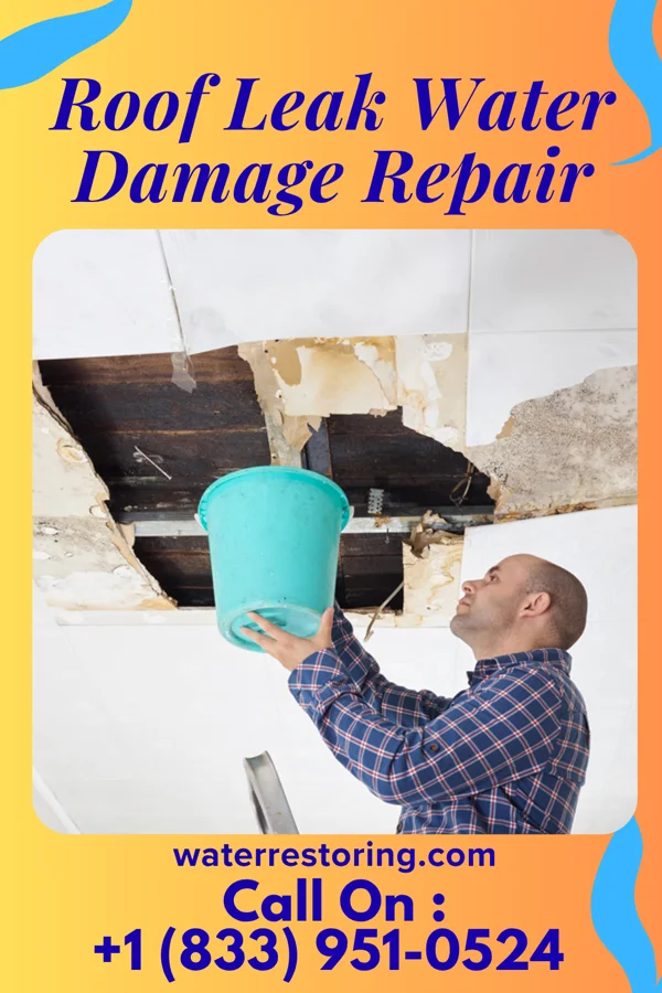 Roof Leak Water Damage Repair in Silver Bay, MN
